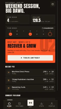 Iron Clad Strength home screen